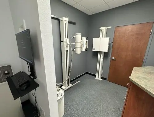 Best Chiropractor Services in Orlando