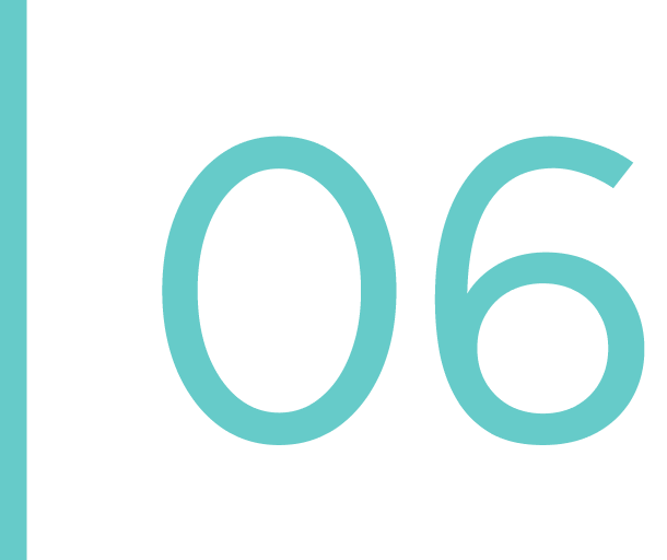 Number 06 in teal